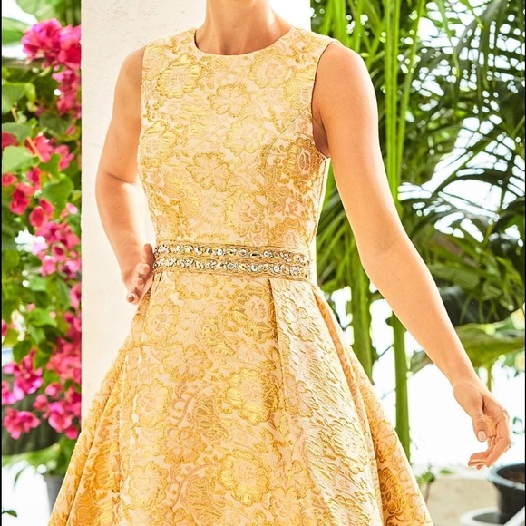 LILLY PULITZER Levy Sleeveless Fit & Flare Dress - Picture 10 of 16